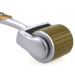 Generique Roue à picots Zgts Titanium